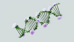 DNA flowers